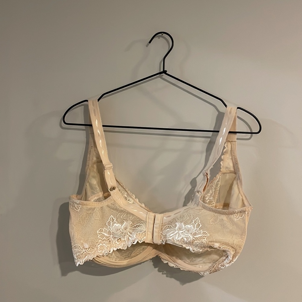 Paramour Bra - image 3
